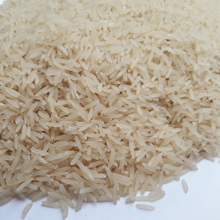 أرز فجر